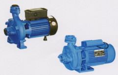 Single Phase Centrifugal Monoset Pumps by Delta Machinery Corporation