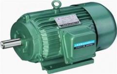 Single Phase Induction Motors by Sri Ram & Co.