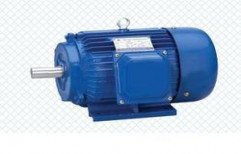 Three Phase Motor by Pilot Engineering Industries