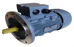 Three Phase Standard Motor by Teck Link Sales & Marketing Private Limited