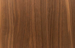 American Walnut Timber by Pyramid Ply  Wood Products Private Limited