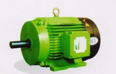 Electric Motor by Delta Machinery Corporation