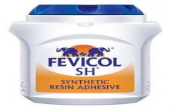 Fevicol SH 1 KG by Rootefy International Private Limited
