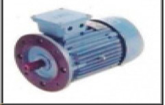 Flange Mounted TFO Motor by Emco Electricals