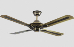 Havells Florence Special Finish Ceiling Fan by Dashmesh Hardware Store