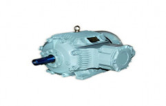 Heavy Duty Motor by Lokesh Electricals Pvt. Ltd.