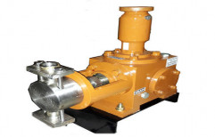 Plunger Pump by Mauli Group