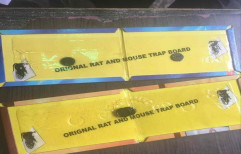 Rat And Mouse Glue Traps by Sagar Agro Industries, Jaipur