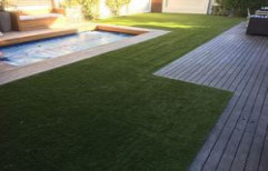 Residential Artificial Grass by Arsh Interior