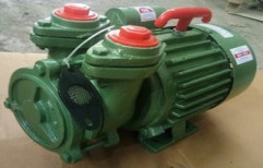 0.75 HP pump by Bhagvati Electric