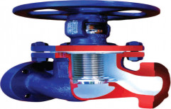 Bellow Seal Valve by Thermax Limited