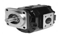 Cast Iron Roller Bearing Pumps - Model 076 by Innovative Technologies