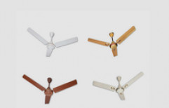 Ceiling Fan by Polter Engg.