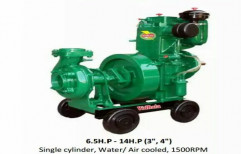 Diesel Engine Pump Set by Sujata Electricals
