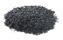 Granular Activated Carbon by Aqua Systems Technology