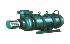 Horizontal Submersible Pump by Agro Cast Pumps Products