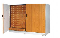 Large Insect Showcase Cabinet by S.K.APPLIANCES