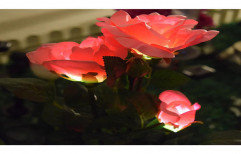 LED Solar Rose Light by Raysteeds Energy Private Limited