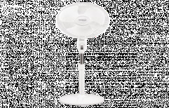 Pedestal Fan by Electric Centre