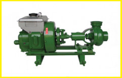 Portable Air/ Water Cooled Diesel Engine by MS Traders