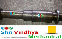 Shaft For Dtyconing Oil Pump by Shri Vindhya Mechanical