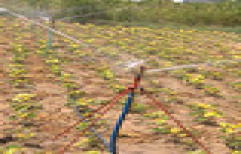 Sprinkler Irrigation System by Laxmi Sales Corporation