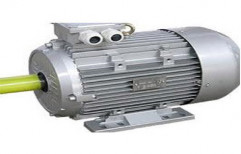 TEFC Squirrel Cage Induction Motor by Horse Power Corporation
