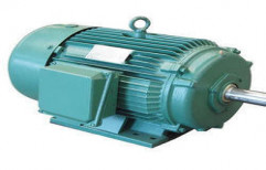 Three Phase Induction Motor by Bhagvati Electric