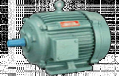Three Phase Induction Motors by Motor Sales Corporation