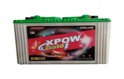 Xpow Gold Automotive Battery by Salasar Battery House