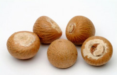 Arecanut Betel Nut Or Supari by Green Allianz Solutions
