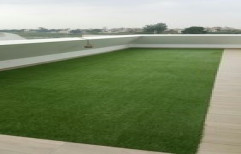 Artificial Grass by Trendz Construction