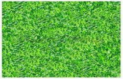 Artificial Landscaping Grass by Interior Solutions