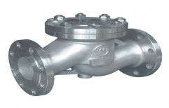 Check Valve by Fluidotech Pumps & Equipments