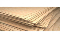 Commercial Plywood by Vijaya Laxmi Timber And Plywood