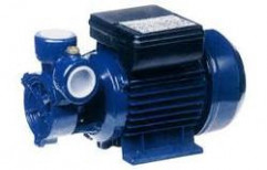 Domestic Water Pump by LD Pump Industries