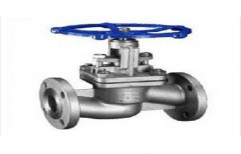 Industrial Glob Valves by ABS Technologies