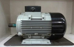 Motor by Perfect Kisaan Agrotech