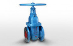 Sluice Valve by New India Electricals Limited