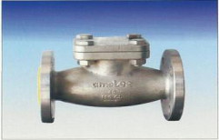 Stainless Steel Non Return Valves by Amolee Valves & Fittings Manufacturing Company