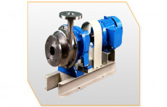 Stainless Steel Pumps by New India Electricals Limited