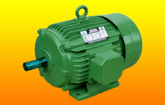 Three Phase Foot Mounted Electric Motor by Yogesh Pumps Private Limited