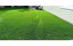 Artificial Lawn Grass by Quick Floor And Wall Solutions
