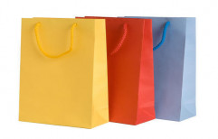 Colored Paper Bag by Raj Packaging