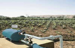 Drip Irrigation System by Vaishnavi Sales Servises