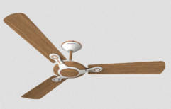 Havells Leganza 3 Blade Decorative Ceiling Fan by Dashmesh Hardware Store