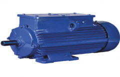 Induction Motor by Bhagvati Electric