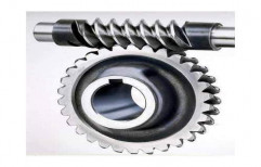 Worm Reduction Gear by Veda Techno