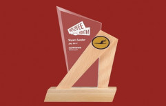 Award Trophy by Corporate Legacies