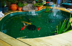 Fish Pond by AB Tech Engineerng Solutions